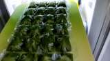 Succo di prezzemolo con lime in impacchi di ghiaccio - Preparazione passo 6
