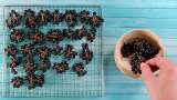 Essiccazione dell'aronia in un disidratatore - Preparazione passo 2