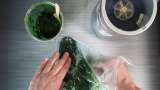 Rimedio antinfortunistico con spinaci, spirulina, miele e tè verde - Preparazione passo 4