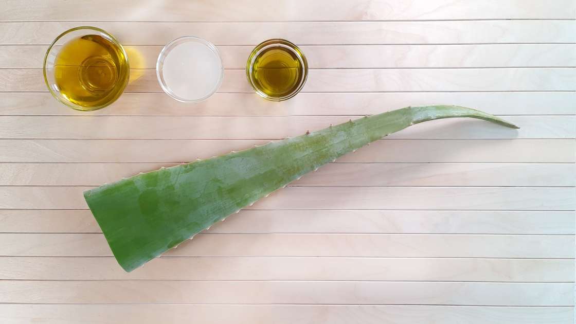 Crema all'aloe vera con olio di oliva, uva e cocco, foto 2