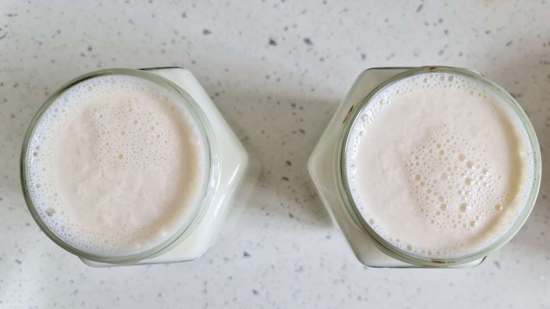 Yogurt fatto in casa a base di latte fermentato e panna acida, foto 1