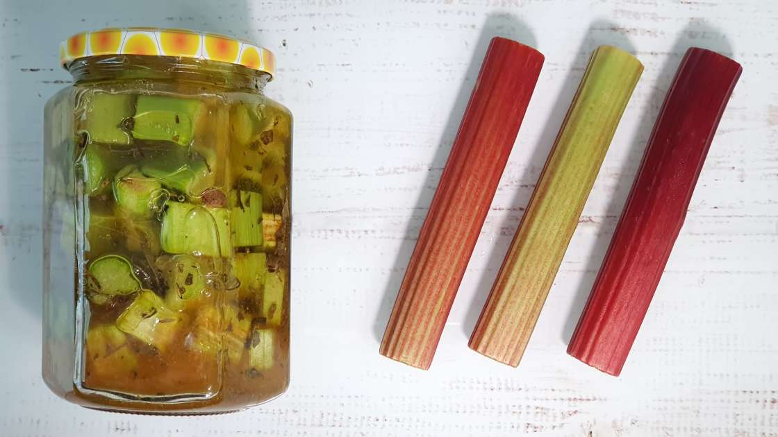 Macerato di rabarbaro con miele, tè verde, menta e varie spezie, foto 4