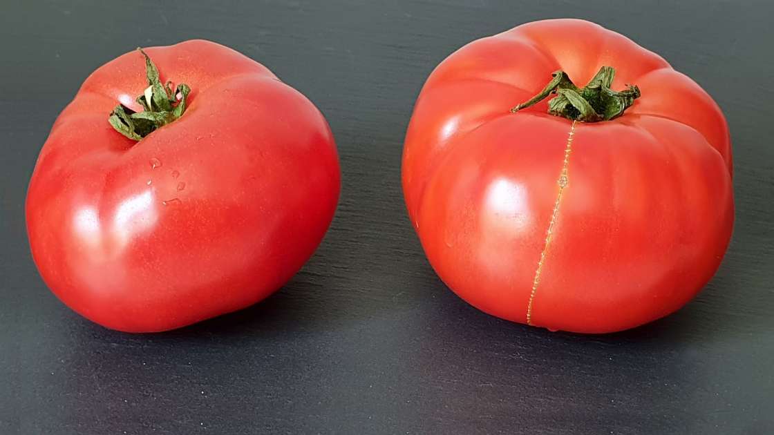 Succo di pomodoro fresco con miele per rafforzare ossa e articolazioni, foto 2