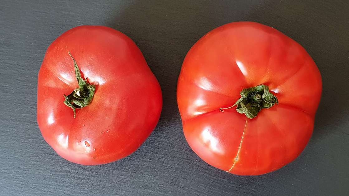 Succo di pomodoro fresco con miele per rafforzare ossa e articolazioni, foto 3