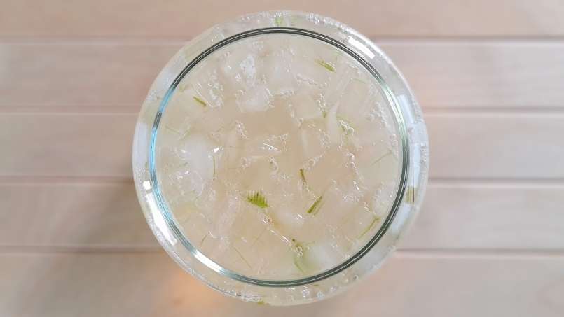 Macerato di aloe vera con miele, foto 4