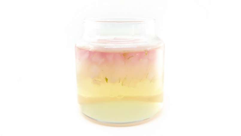 Macerato di aloe vera con miele, foto 14