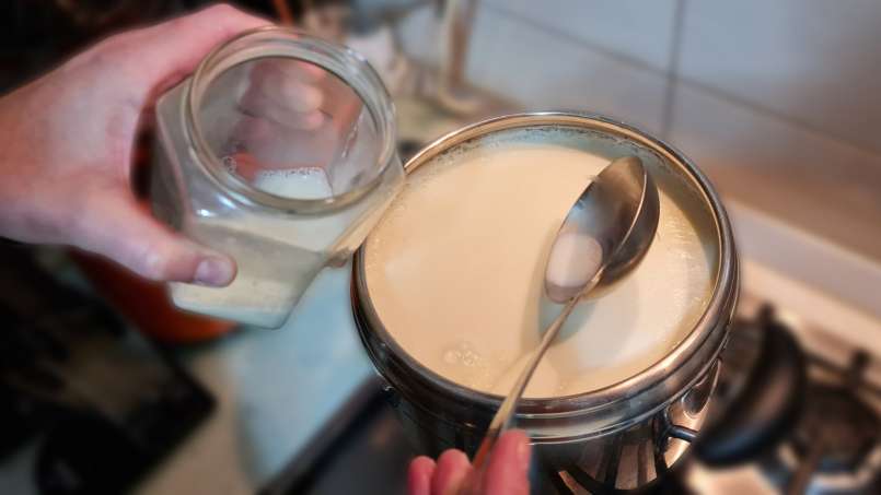 Yogurt fatto in casa a base di latte fermentato e panna acida, foto 3