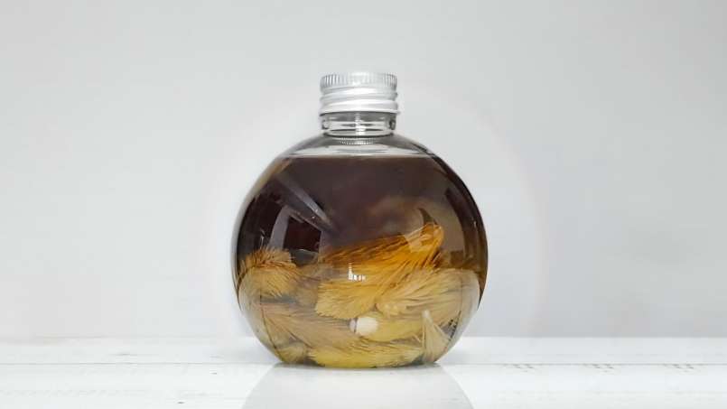 Olio di gemme di pino, foto 11