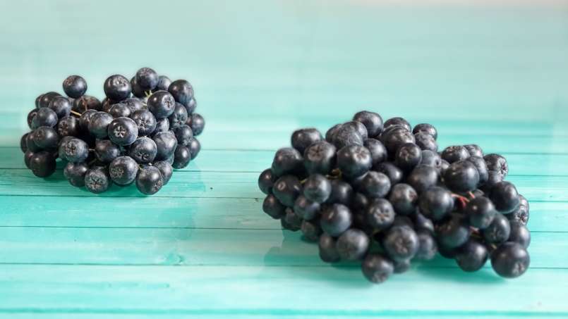 Sciroppo di aronia con miele, foto 9
