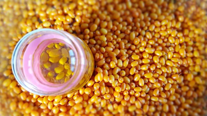 Trasferimento-tramite l'olio di uvetta, foto 7