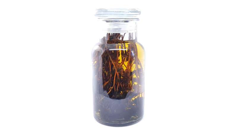 Tintura di timo, foto 2