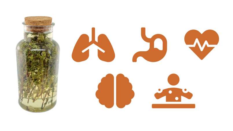 Macerato di timo con miele, foto 1