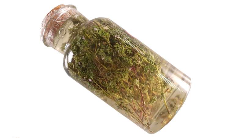 Macerato di timo con miele, foto 4