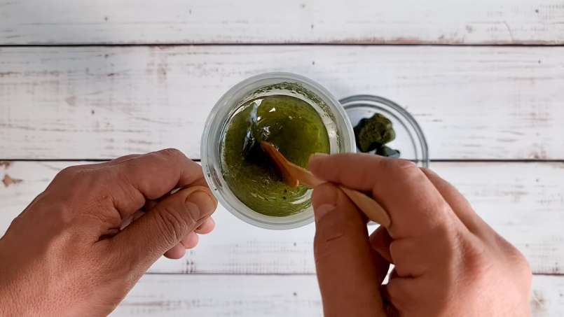 Cubetti di ghiaccio di succo di ortica congelati, foto 11