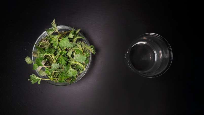 Tintura netta di ortica, foto 1