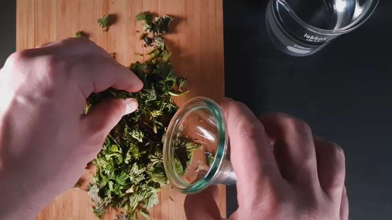 Tintura netta di ortica, foto 2