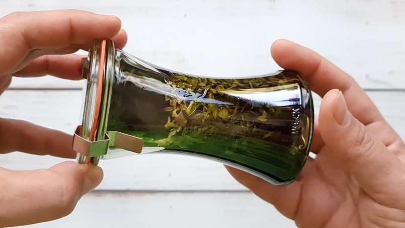 Tintura netta di ortica, foto 3