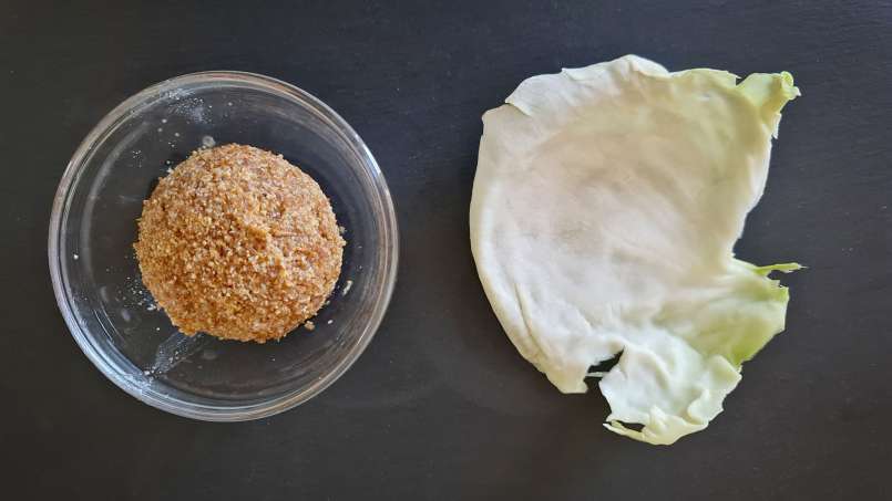 Cataplasma con loys e foglie di cavolo, foto 4