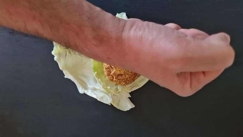 Cataplasma con loys e foglie di cavolo, foto 6