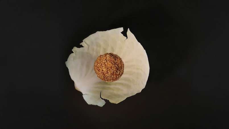 Cataplasma con loys e foglie di cavolo, foto 9