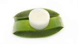 Crema di aloe vera con burro di cocco