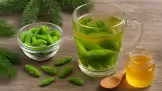 Bollitura delle gemme di abete per le affezioni respiratorie
